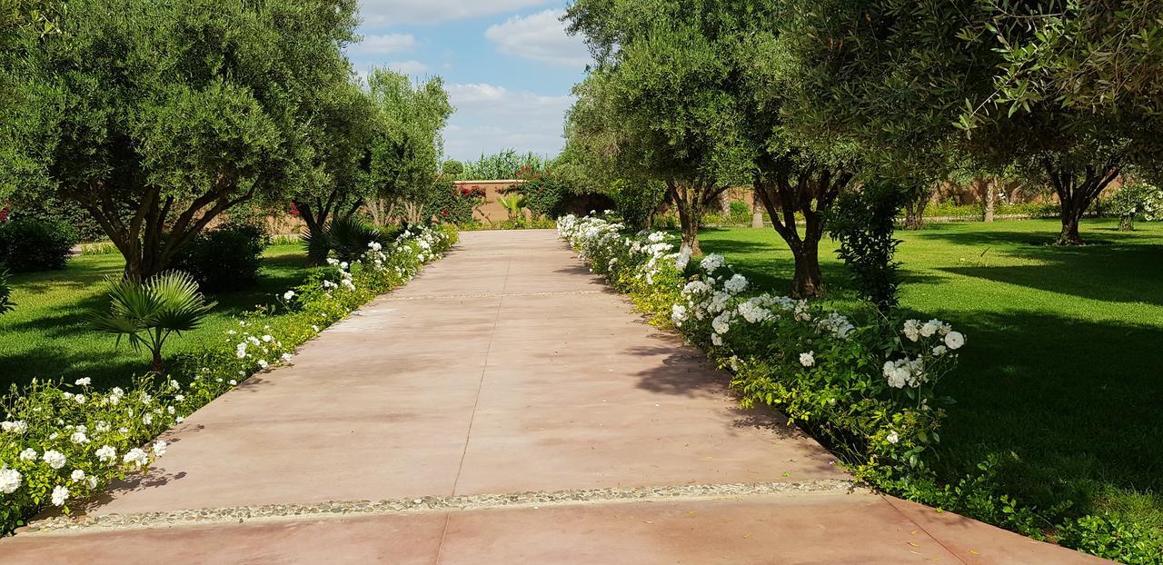 Villa Koutoubia, Jardin Luxuriant, Piscine Et Spa Marakéš Exteriér fotografie